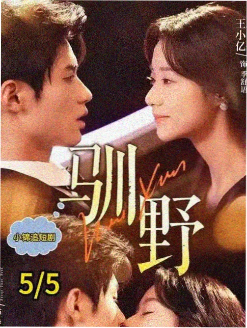 海贼王动漫全集在线观看免费版 德雷斯罗萨段 篇章卡片